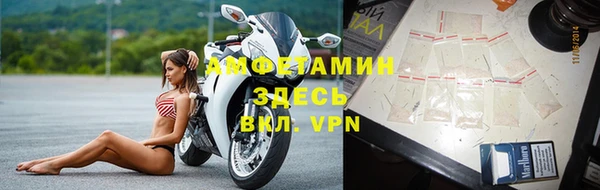 ПСИЛОЦИБИНОВЫЕ ГРИБЫ Карпинск
