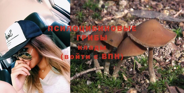 гашик Кинешма