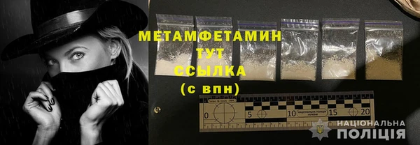 ГАЛЛЮЦИНОГЕННЫЕ ГРИБЫ Инсар