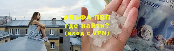 гашик Кинешма