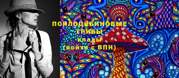 ПСИЛОЦИБИНОВЫЕ ГРИБЫ Карпинск