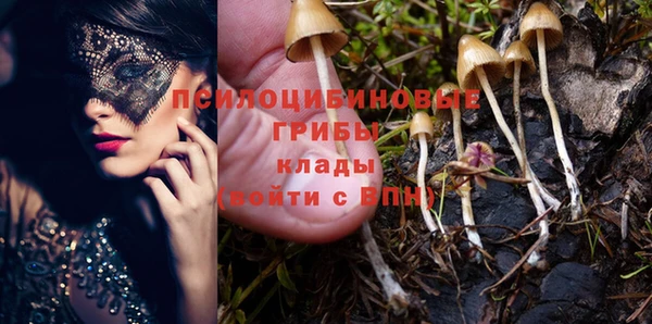 кокс Киреевск