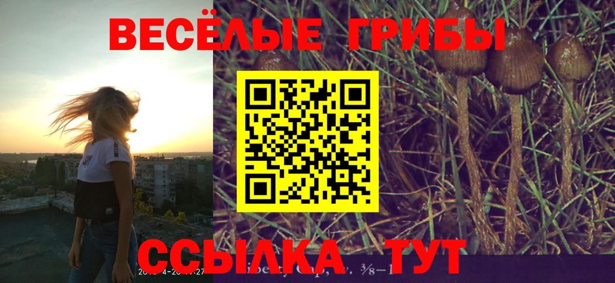 Кореновск  Галлюциногенные грибы ЛСД  Вход с VPN 